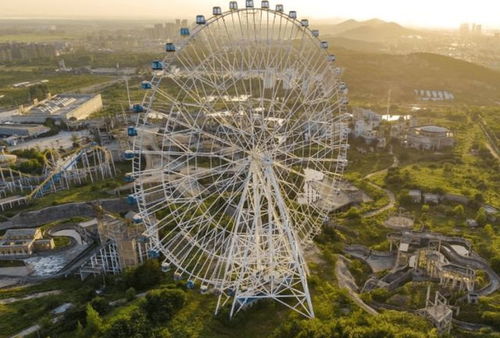游樂園爛尾背后 服務(wù)缺失與運(yùn)營困局